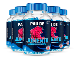 Sem-Título-1 Sem-Título-1